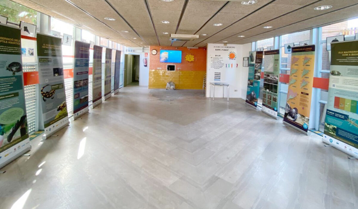 Fotografia de l'exposició del projecte Fundació Rivus
